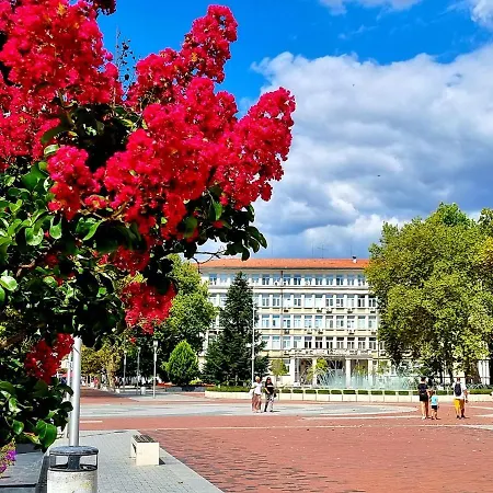 Attic - атик студио Lejlighed