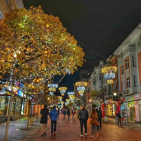 Attic - атик студио Daire