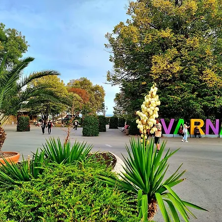 Daire Attic - атик студио Varna