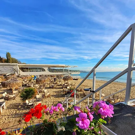 Attic - атик студио *