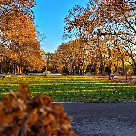 Attic - атик студио