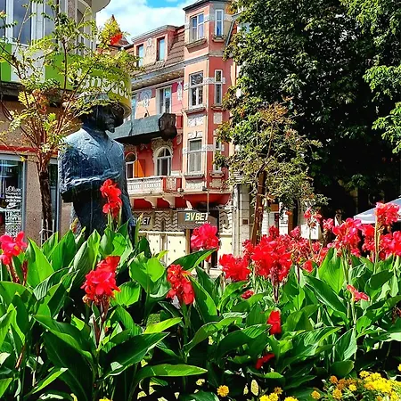 Attic - атик студио Daire Varna