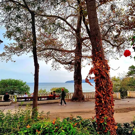 Attic - атик студио * Varna