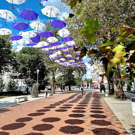 Attic - атик студио * Varna