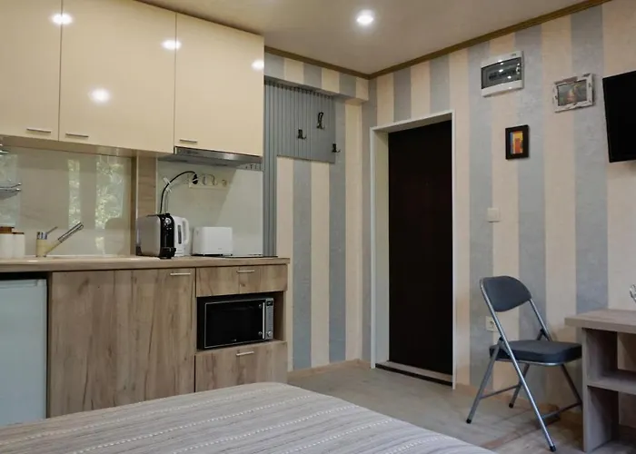 Attic - атик студио Lejlighed